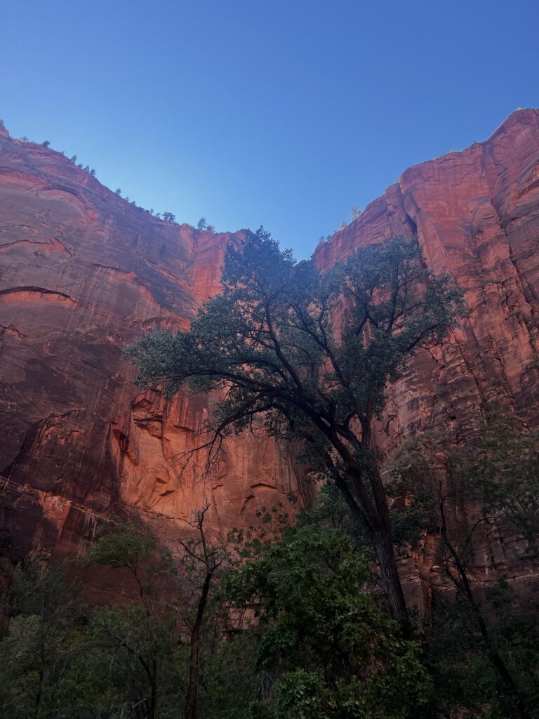 Discover Zion National Park: The Jewel of Utah IMG_0001