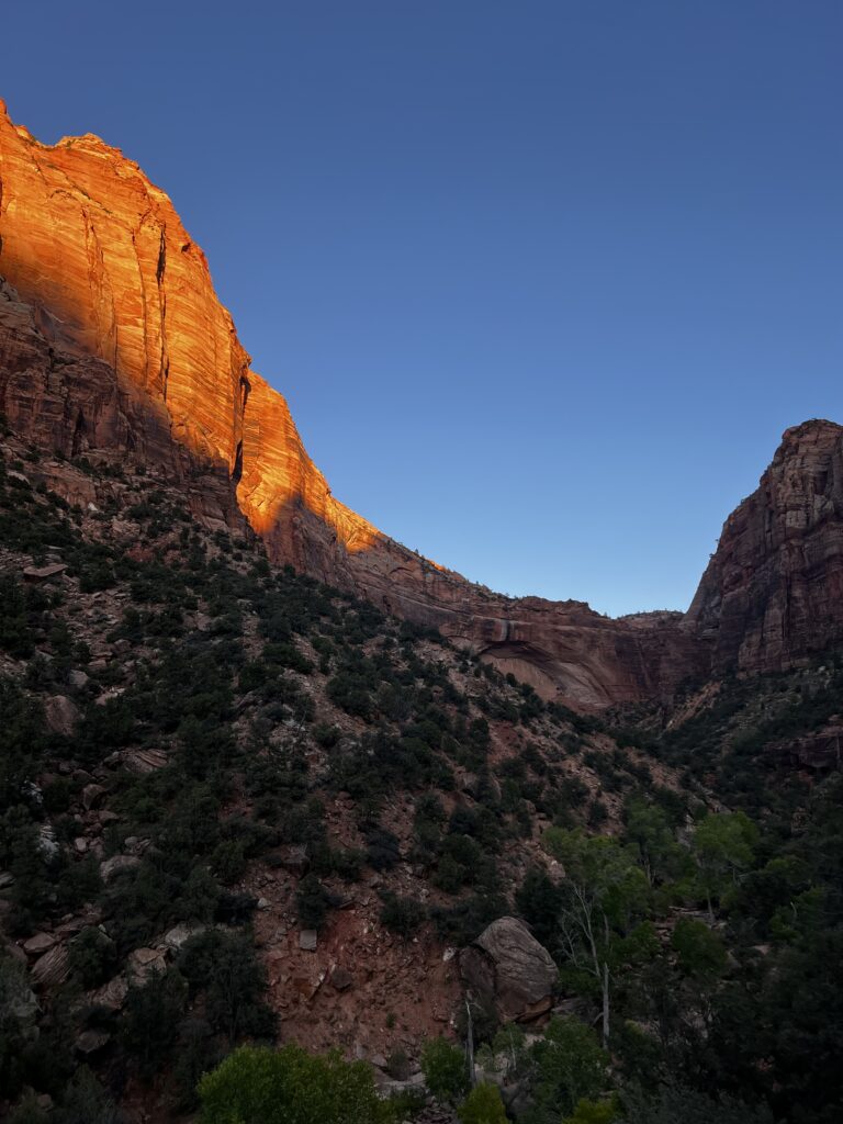 Discover Zion National Park: The Jewel of Utah IMG_0094