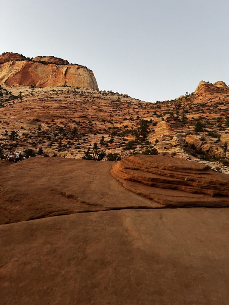 Discover Zion National Park: The Jewel of Utah IMG_0114