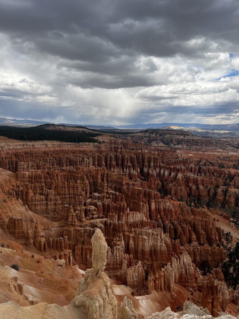 Discover Zion National Park: The Jewel of Utah