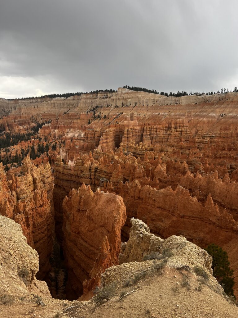 Discover Zion National Park: The Jewel of Utah