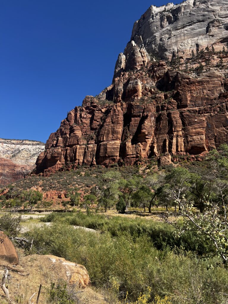 Discover Zion National Park: The Jewel of Utah IMG_9315