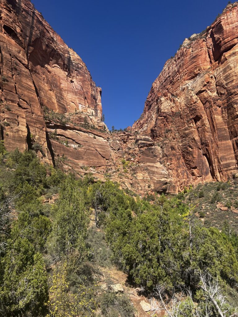 Discover Zion National Park: The Jewel of Utah IMG_9324