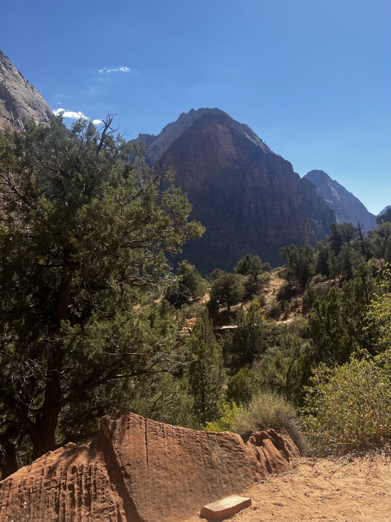 Discover Zion National Park: The Jewel of Utah IMG_9352