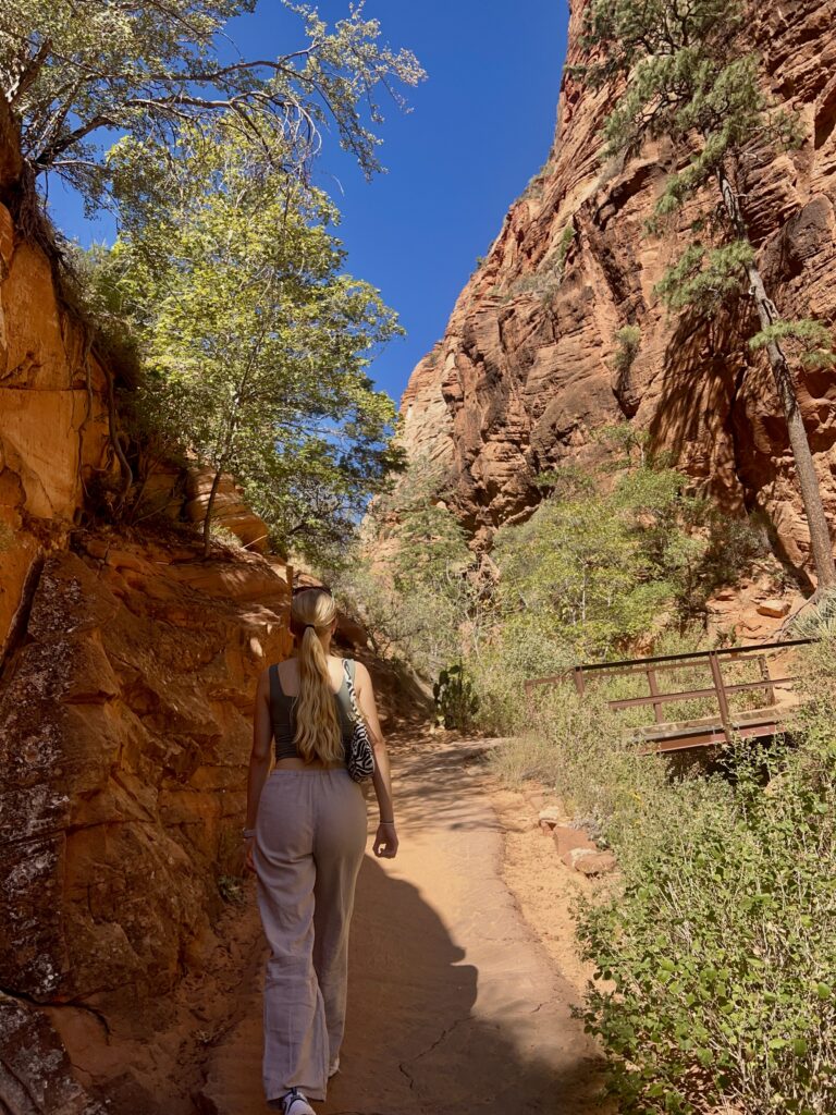 Discover Zion National Park: The Jewel of Utah IMG_9401