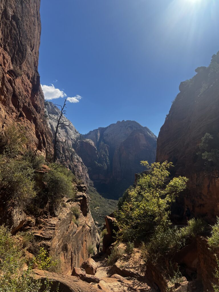 Discover Zion National Park: The Jewel of Utah IMG_9440