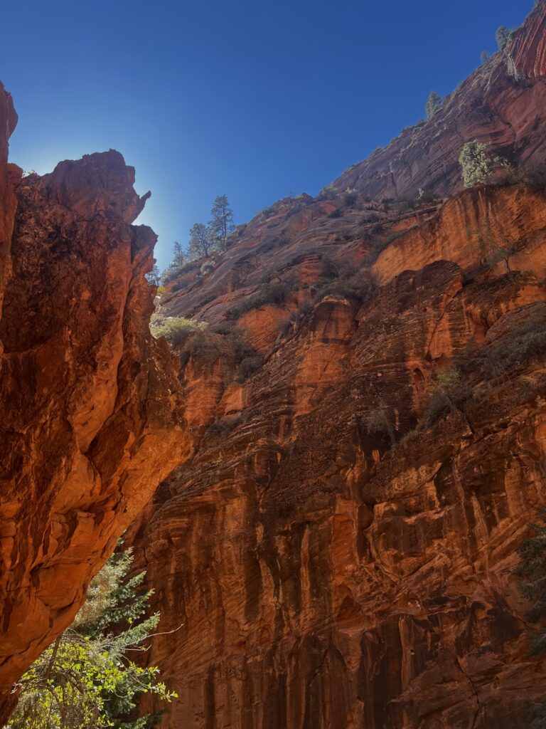 Discover Zion National Park: The Jewel of Utah IMG_9459