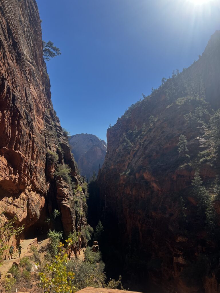 Discover Zion National Park: The Jewel of Utah IMG_9461