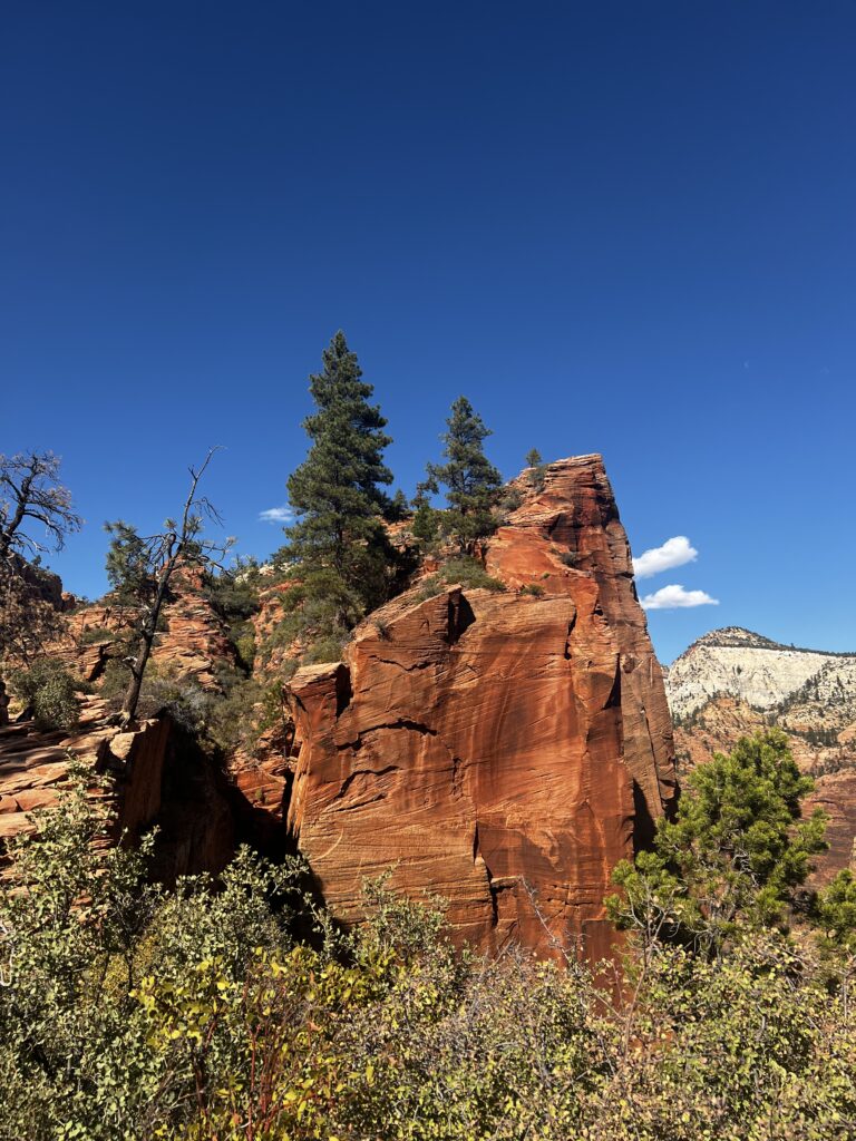 Discover Zion National Park: The Jewel of Utah IMG_9748