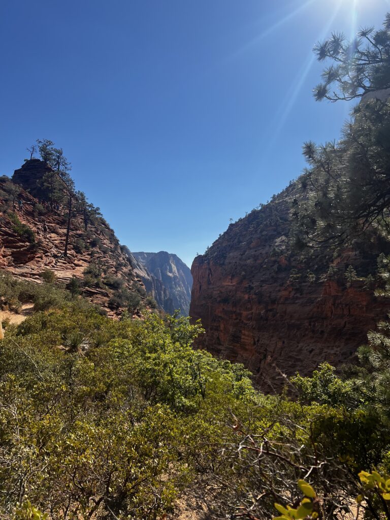 Discover Zion National Park: The Jewel of Utah IMG_9755