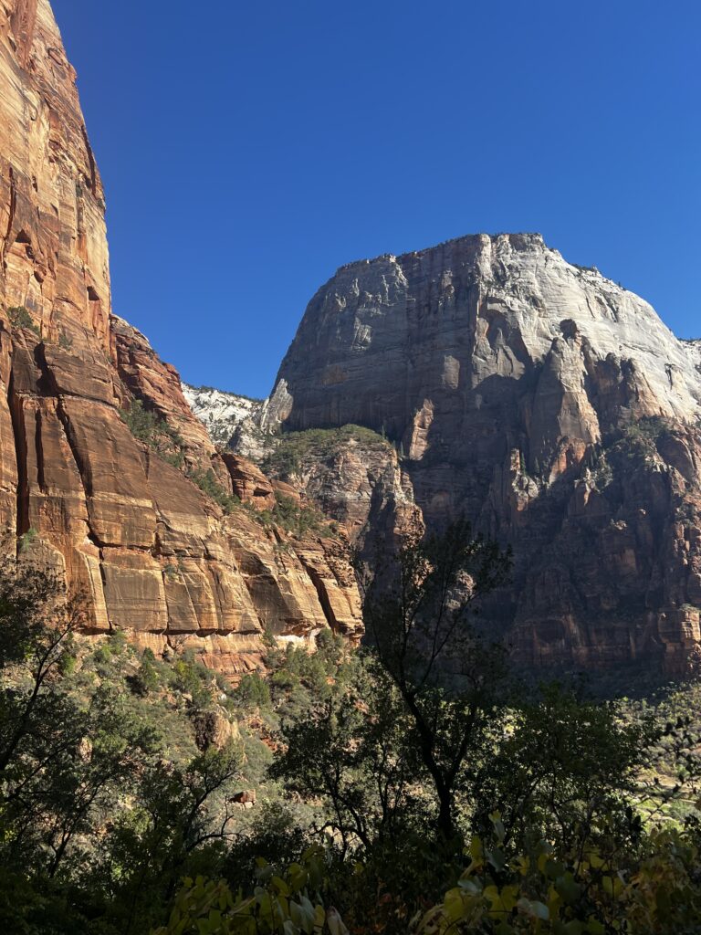 Discover Zion National Park: The Jewel of Utah IMG_9997