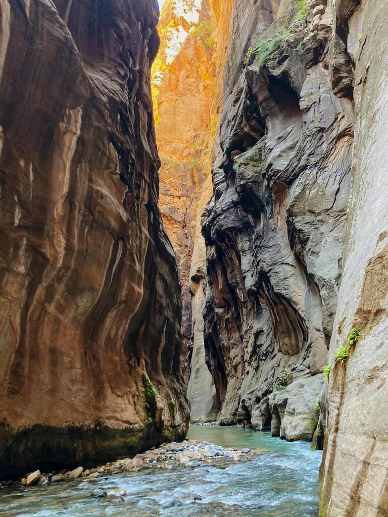 Discover Zion National Park: The Jewel of Utah pexels-photo-13132436-13132436.jpg