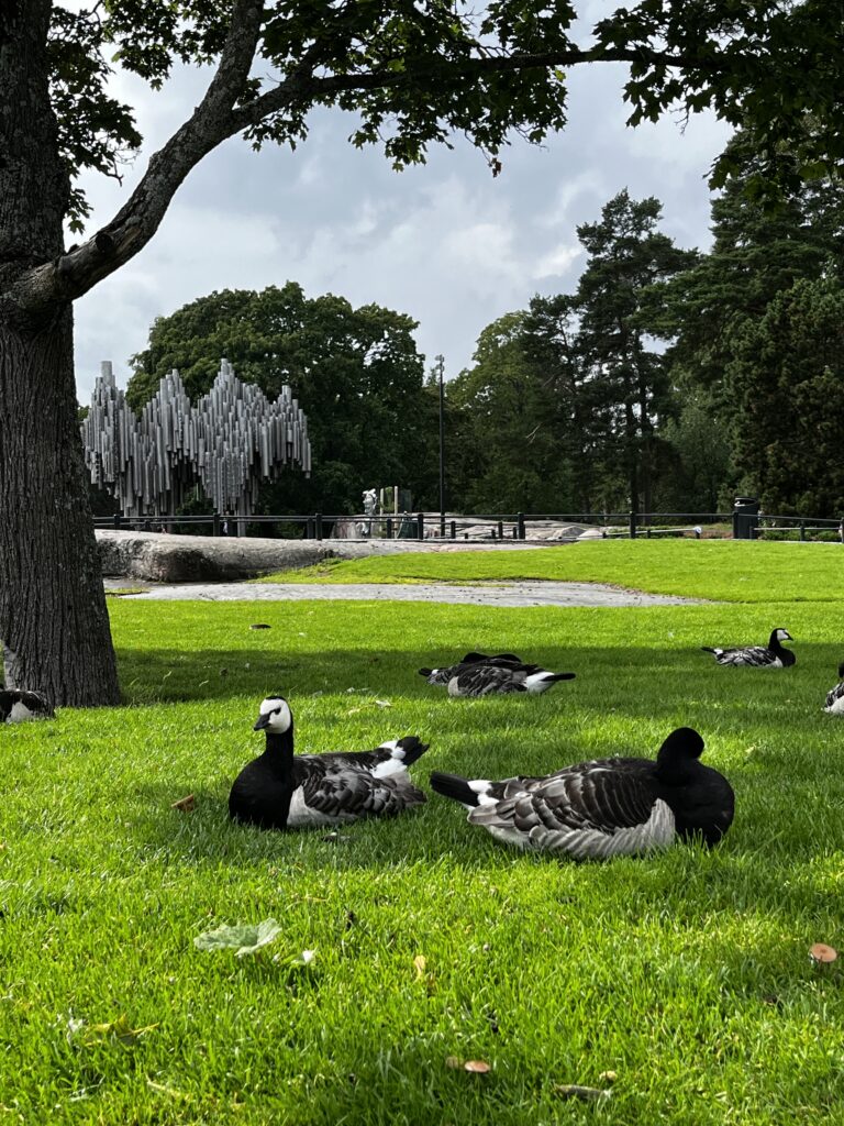 Discover Helsinki: Visit The White City